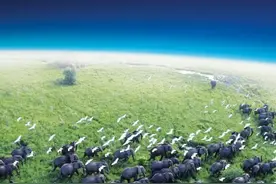 世界地球日 | 5部豆瓣高分纪录片图片
