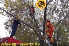 山东临沂一醉酒男子爬上树后下不来，被救后走出魔鬼步图片
