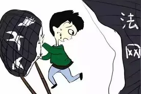 咸安一村民架网捕鸟犯非法狩猎罪获刑图片