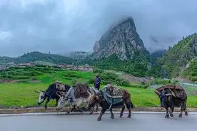 甘南，堪称一次完美的旅行图片