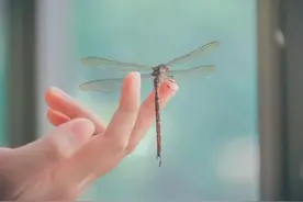 没有多少真心，我又何必认真图片