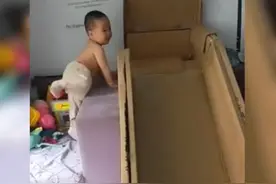 动手能力超强爸爸用纸箱“变废为宝”获高赞，网友：确实创意满满图片