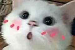 在睡前分享一波可爱的表情包！晚安图片