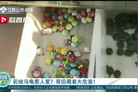 谨慎购买彩绘小乌龟！专家提醒：一来涂料有毒，二来它是外来入侵物种图片