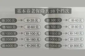 山西省城乡居民补充养老保险政策之重点强调及举例分析图片