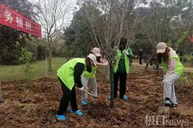 相约春天！江大师生齐种“本校产”樱花树图片