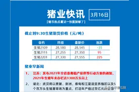 2400头美国种猪“空降”四川，刷新了四川的引种纪录图片