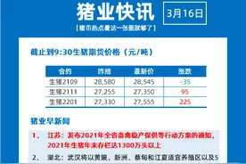 2400头美国种猪“空降”四川，刷新了四川的引种纪录图片