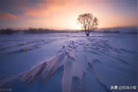 5年前学习null和undefined，现在有新的认知，看看这位人才怎么说图片