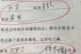 “最懒小学生”试卷走红，老师看后左右为难，想打叉又觉得没毛病图片