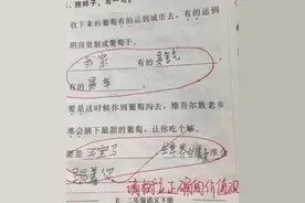 “最懒小学生”试卷走红，老师看后左右为难，想打叉又觉得没毛病图片