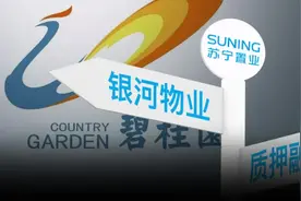 苏宁张近东“质子求生”，碧桂园杨国强“借船出海”？图片