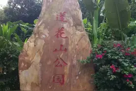 深圳100个免费公园，适合一日游，你去了吗？图片