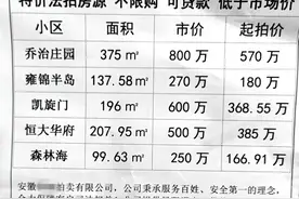 合肥法拍房急抛！凯旋门降230万拍卖，益力檀宫1.1万成交图片