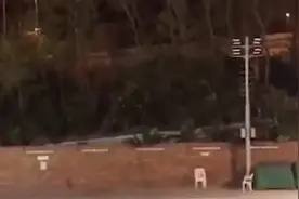 港警劝降语录：你们吃面包，我去深圳吃海底捞视频封面
