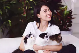 赵又廷爸爸有什么资格当众责骂高圆圆？她身家过亿，可是下嫁赵家图片