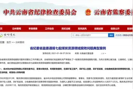 贪贿索贿、以权谋私……云南通报7起煤炭资源领域腐败问题典型案例图片