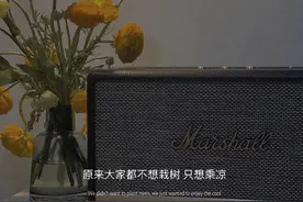 因为除草麻烦，所以不再种花图片