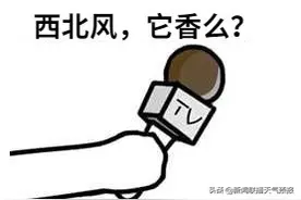今天，咱们聊点应景的：为啥说“喝西北风”，而不是别的风呢？图片