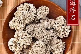 中药古今研究：浮海石（海浮石）图片