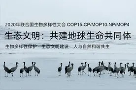 改造基因、构建特殊生物……合成生物学如何影响生物多样性？图片