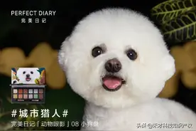 李佳琦的5条狗4天提交400多件商标：是贫穷限制了我的想象图片