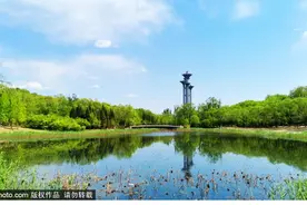 奥林匹克公园及周边游玩攻略来啦！还有科技大展可以看！图片