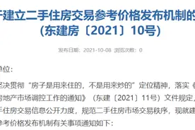 东莞楼市“银十”分化显著：有项目开盘“日光”，有楼盘去化率不到一成图片