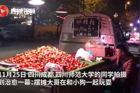 水果摊主边摆摊边和小狗玩 网友：一天的劳累都被治愈了图片