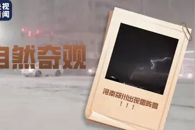自然奇观！河南郑州出现雷阵雪图片