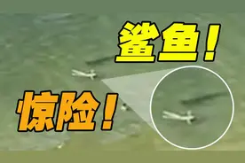 惊险！美国佛罗里达海边一条鲨鱼被拍到在游泳者身边徘徊图片