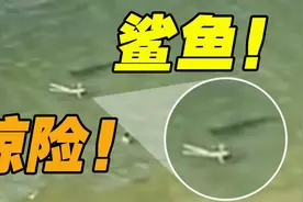 惊险！美国佛罗里达海边一条鲨鱼被拍到在游泳者身边徘徊图片