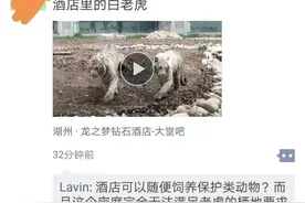 谁来揭开浙江湖州龙之梦6只白虎的“神秘面纱”？图片
