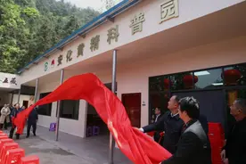 安化黄精产销两旺，开启产业扶贫的“黄精时代”图片