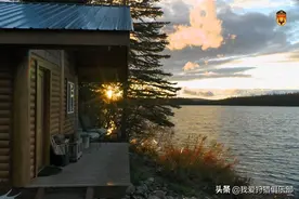 加拿大灰熊和驼鹿狩猎故事图片