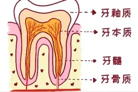 宝宝长牙顺序，你了解多少？图片