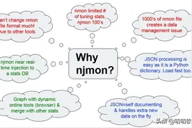 nmon 的下一代工具 njmon图片