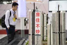 北师大教授董藩：买房越多越富有！他究竟是在替谁说话图片