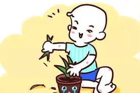 孩子打人，有时不是爱暴力，儿童成长26个敏感期之四：手的敏感期图片