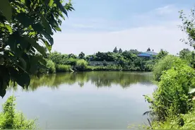 兄弟农场：言“信”行果 有志者事竟成图片