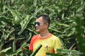 小聂：跑步的逻辑--原地跑的概念，你真的弄清楚了吗？图片