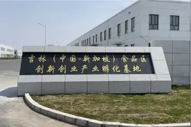 中新（吉林）食品区双创孵化基地企业入驻率达92%图片