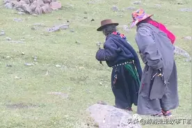 最美川西攻略3：传说中国最后的村落，莫斯卡土拨鼠胖乎乎圆滚滚图片