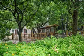 一起去“村”游丨洞头白迭村，许你一个田园牧歌的约定图片