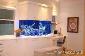 家中养鱼聚财旺运，但鱼缸怎么摆放有讲究，你知道吗？图片