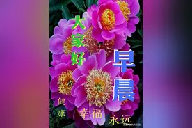 人生就像一杯茶，不会苦一辈子，但总会苦一阵子，早安图片