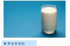 观察｜学生奶迎来新机遇图片