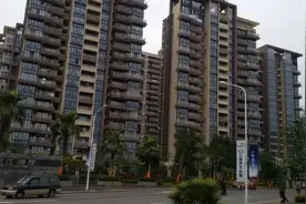 房价，超级利空！央行工作论文：应全面放开和鼓励生育图片