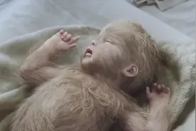 女孩长得像猴子，被邻居当成怪兽，父亲只能活生生将她囚禁！视频封面