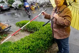 气愤！上海盲人阿姨被小区嫌弃，邻居威胁毒死导盲犬…图片
